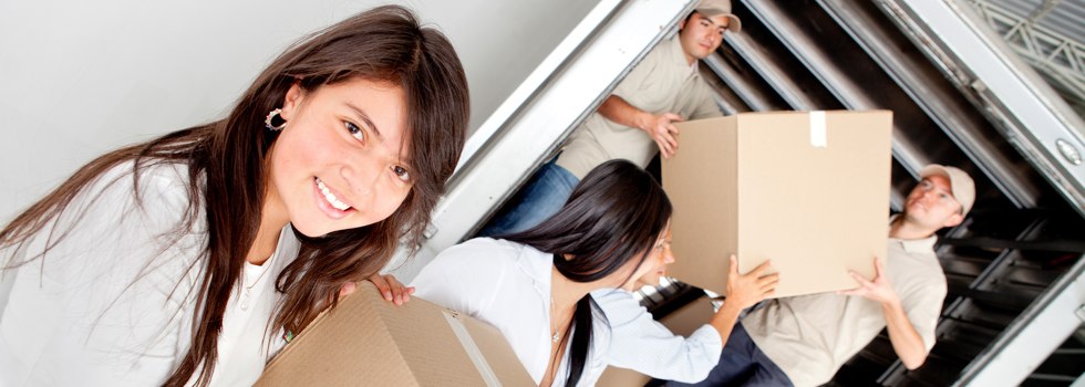 Professional Removalists Canton Beach